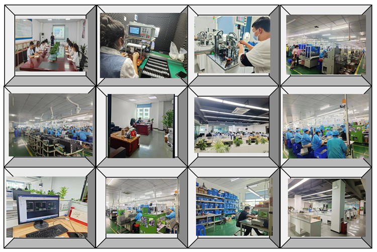 carbon brushed dc motor