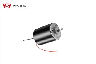 Mikro Brushed DC Motor
