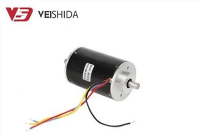 24v Double Shaft Dc Brushless Motor
