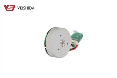 24V Rotor ta 'barra Brushless DC Motor