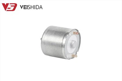 6v Brushed DC Motor
