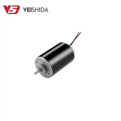 Doppju Output Shaft 12V-24V Carbon Brush Motor