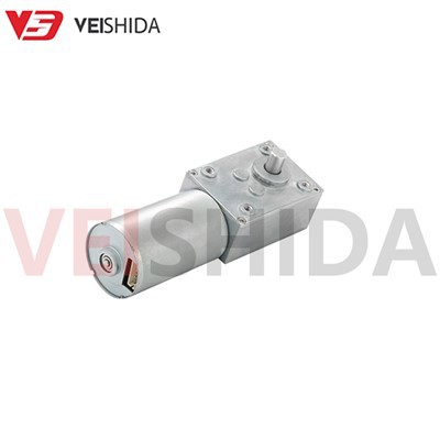 Worm Gear Motor